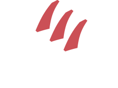 Netzer Catering